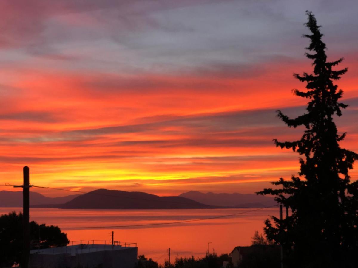 Cozy Sunset House Βίλα Αίγινα Εξωτερικό φωτογραφία